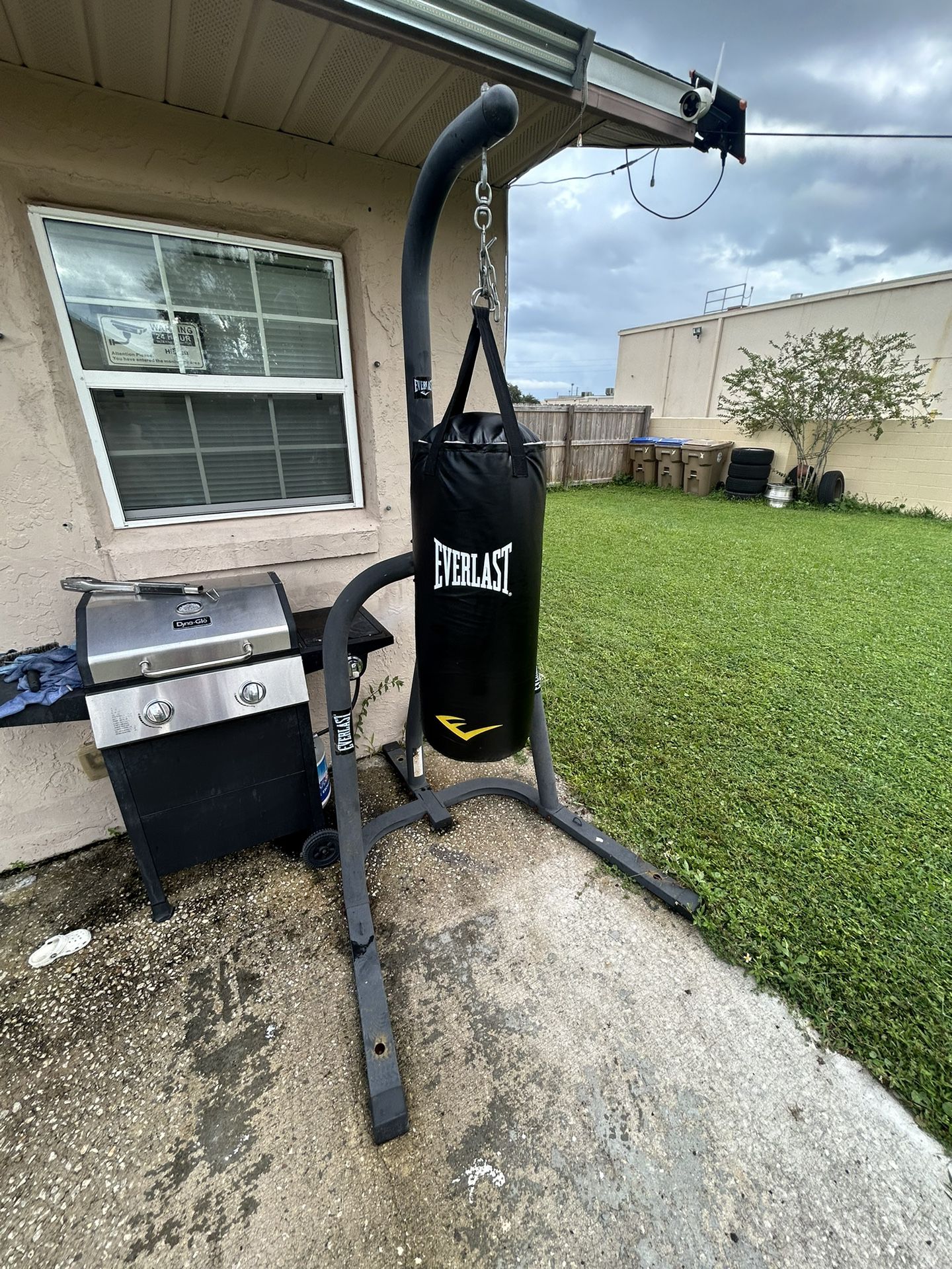 Everlast Punching Bag, and Stand, Boxing 