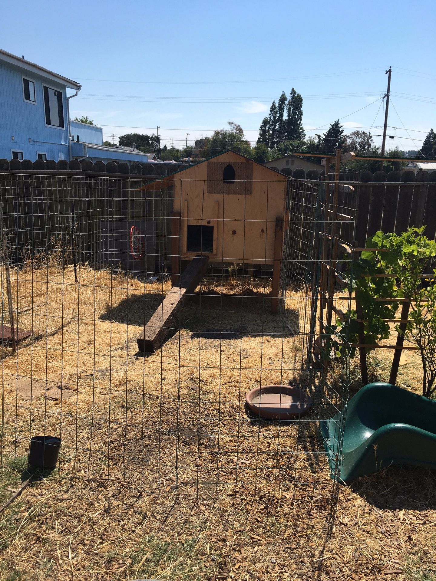 Chicken coop