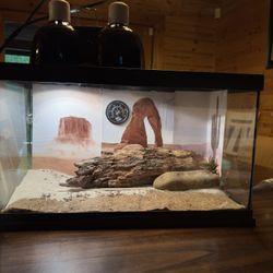 Reptile Enclosure 10gallon Last Used With Leopard Gecko