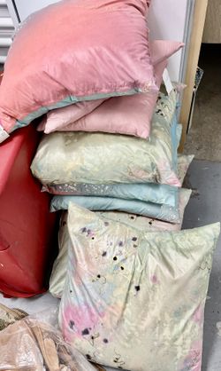Decorative Pillows 