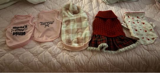 dog girl clothes