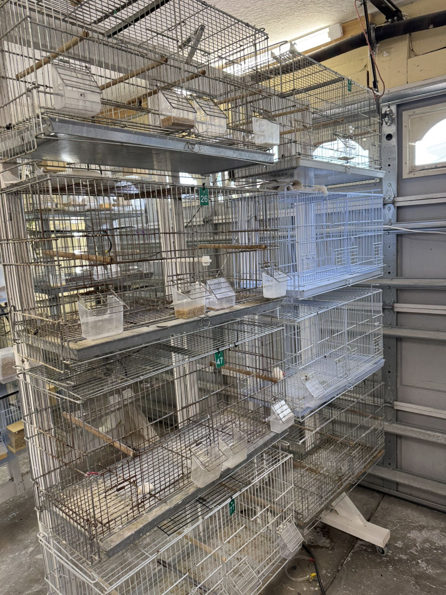 Cages For Birds.