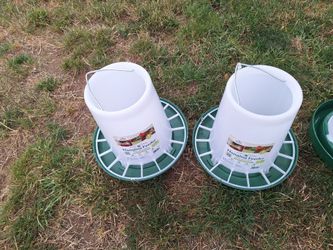 Feeder and waterer for bird's