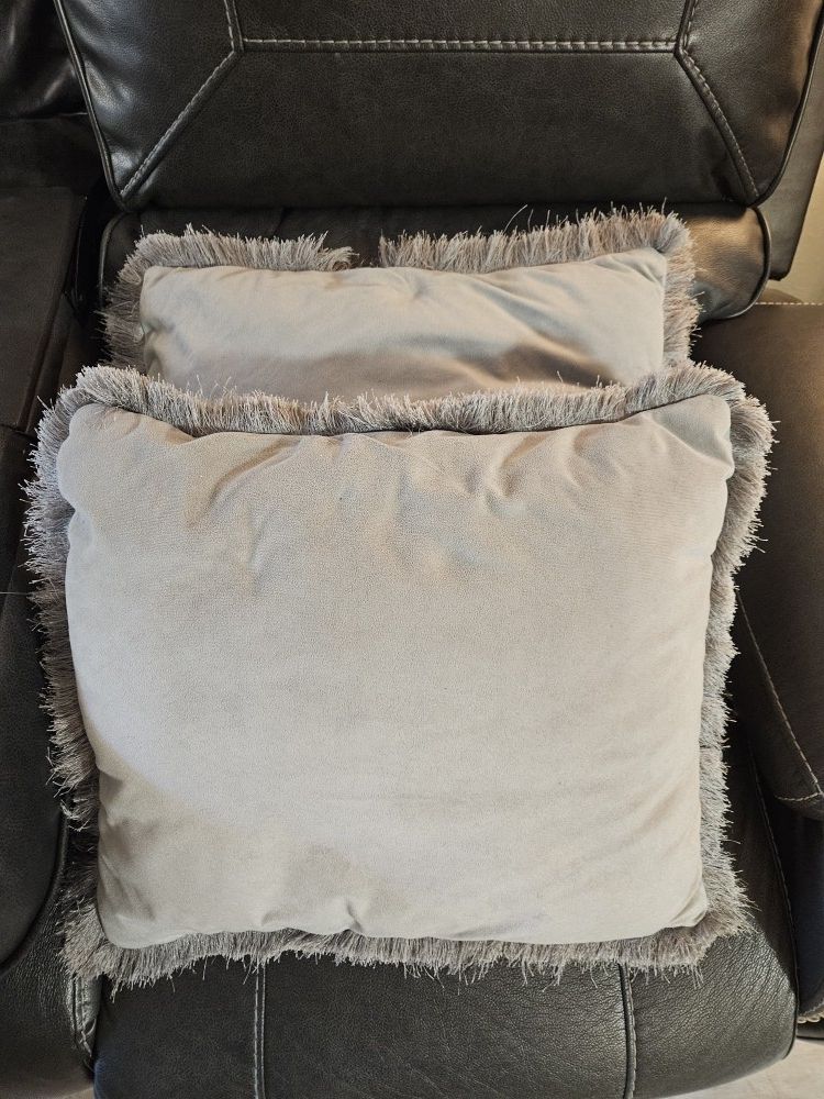 (2) Decorative Pillows