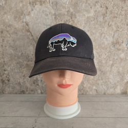 Patagonia Fitz Roy Buffalo Bison Trucker Snapback AdjustableHat