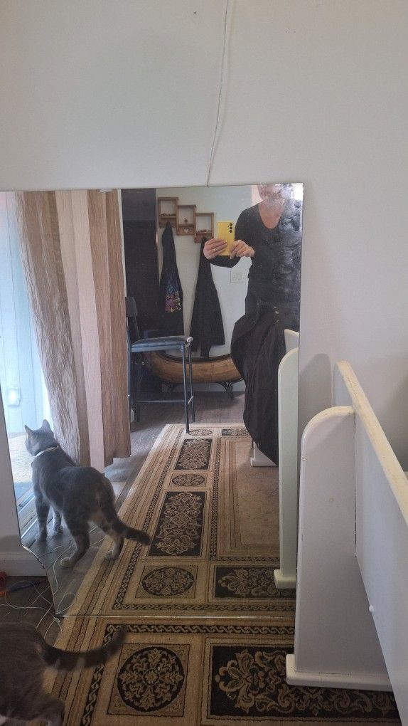 2'.5" X 4' Mirror (Big Chip At Bottom Left)