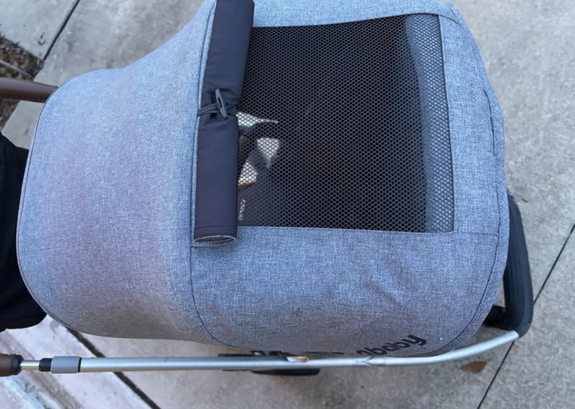 UPPAbaby Cruz Stroller & piggyback