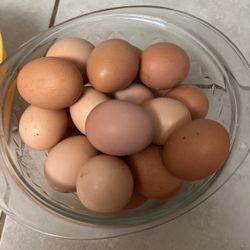 Selling Organic Eggs Dozen
