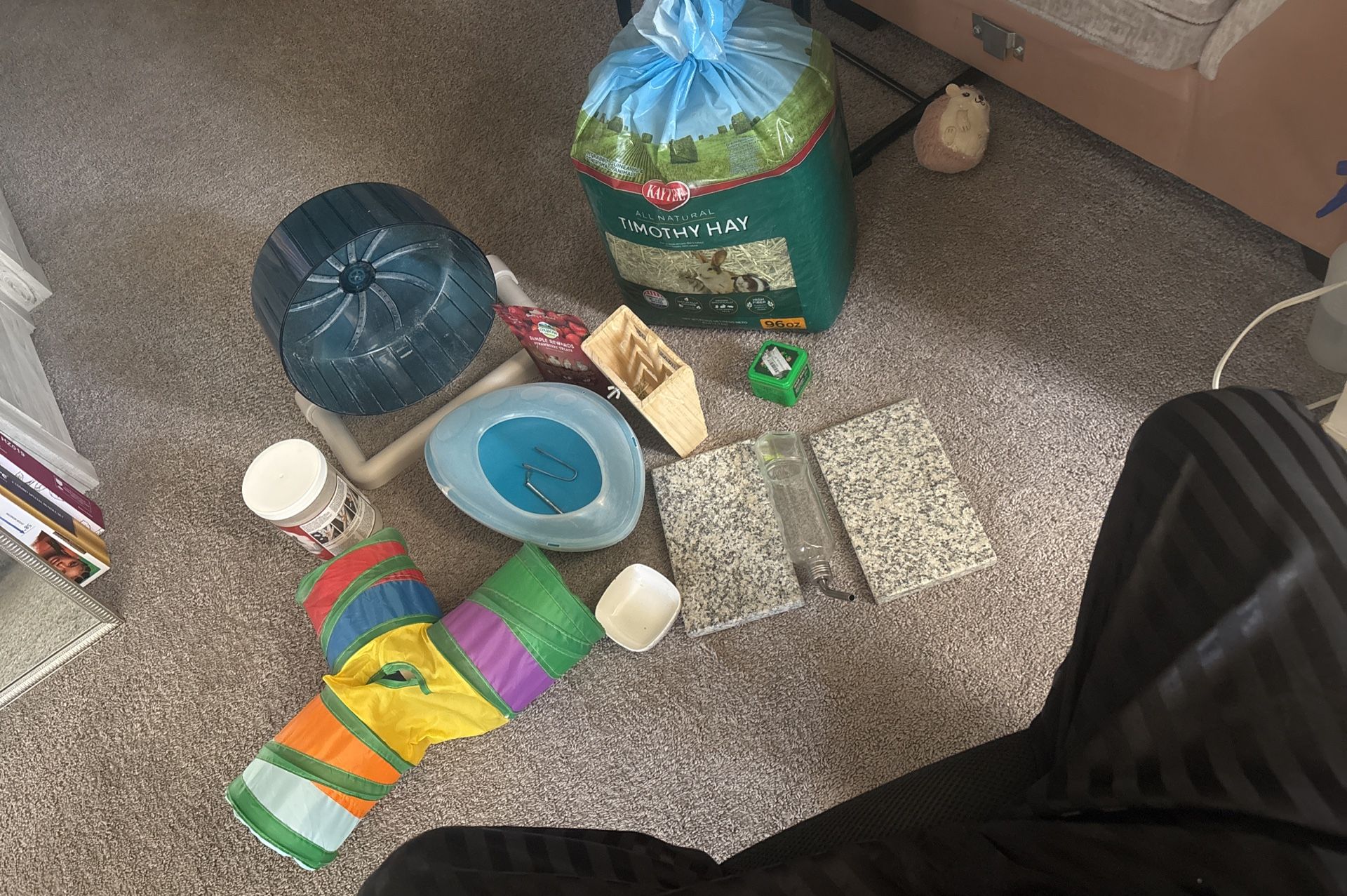 Chinchilla accessories