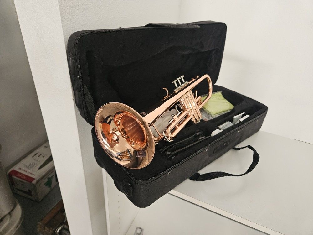 Brand  New Never Used Horn
