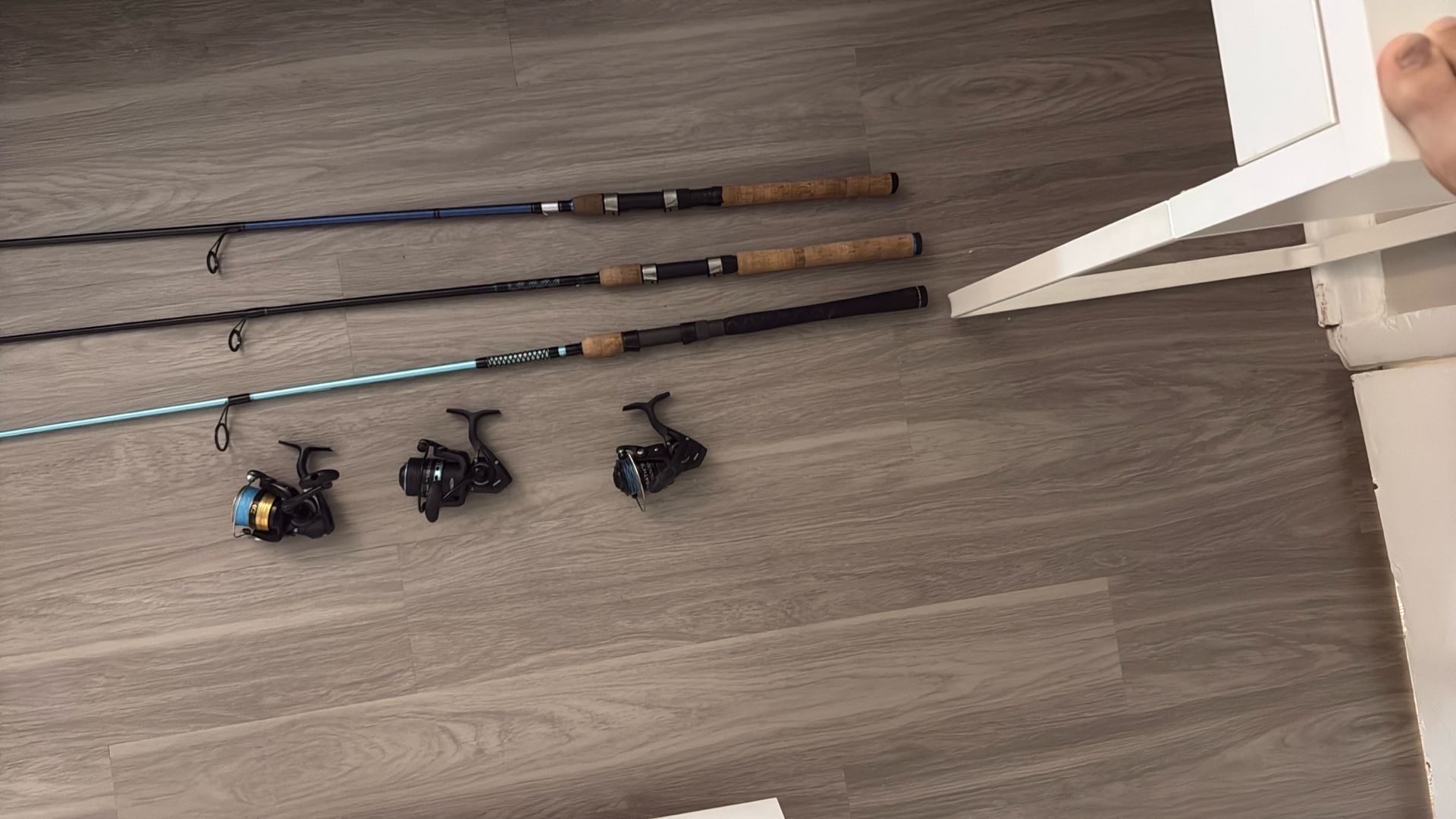 Fishing Rod And Reels