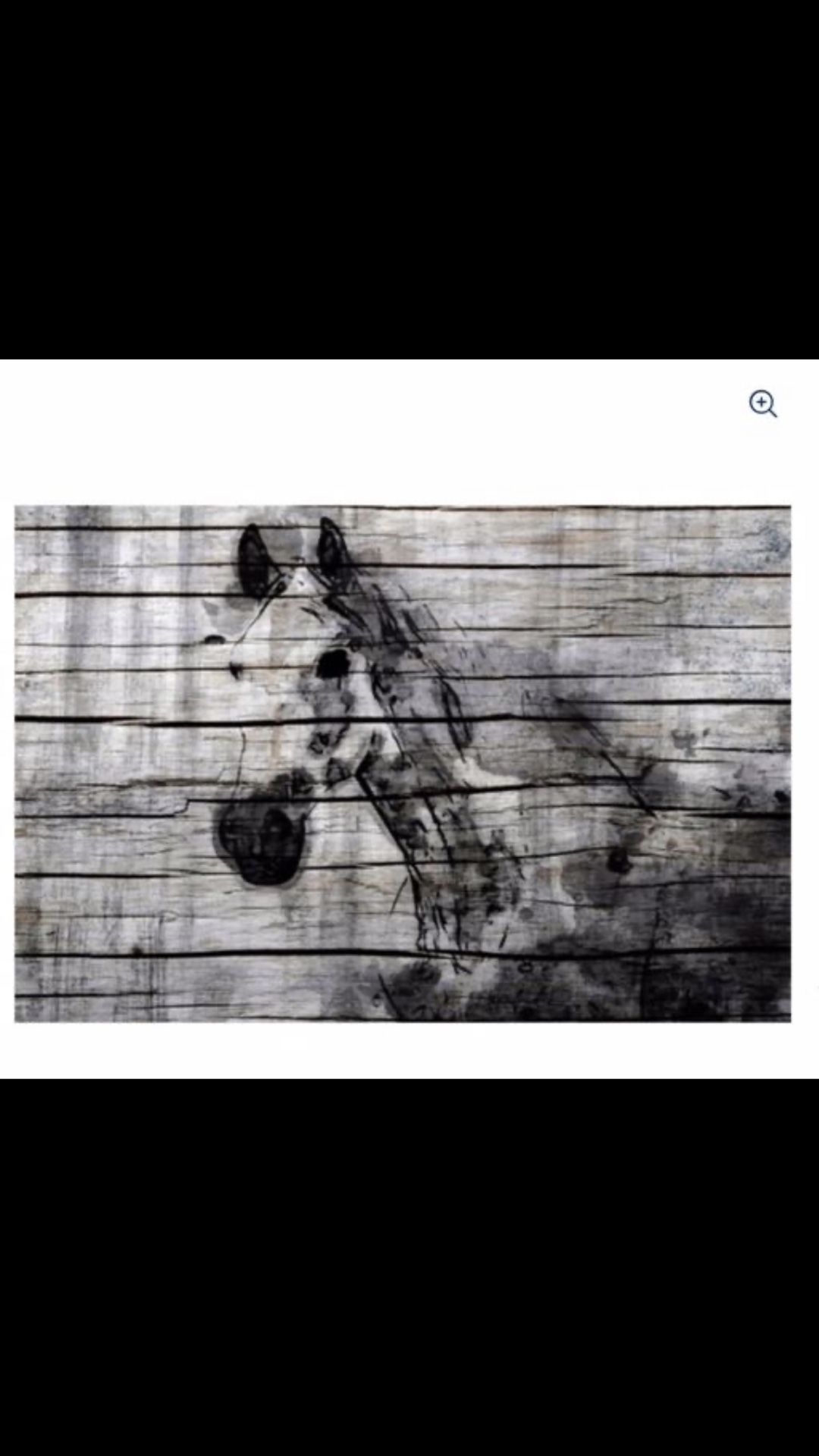 Artwork (modern horse canvas)