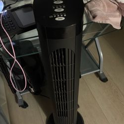 Oscillating Fan 