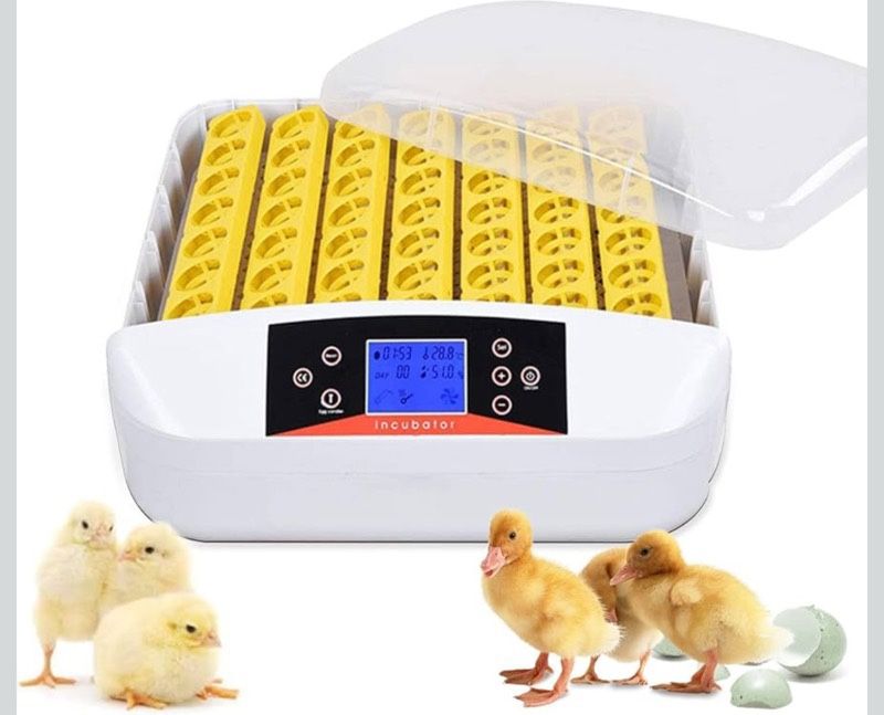 56 Eggs Incubator(Jh2314H)
