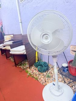 Fan