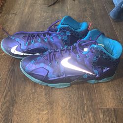 Lebron 11’s