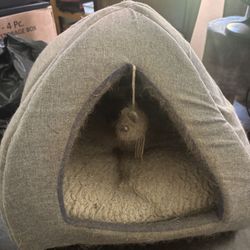 Free Cat Or Small Dog Supplies