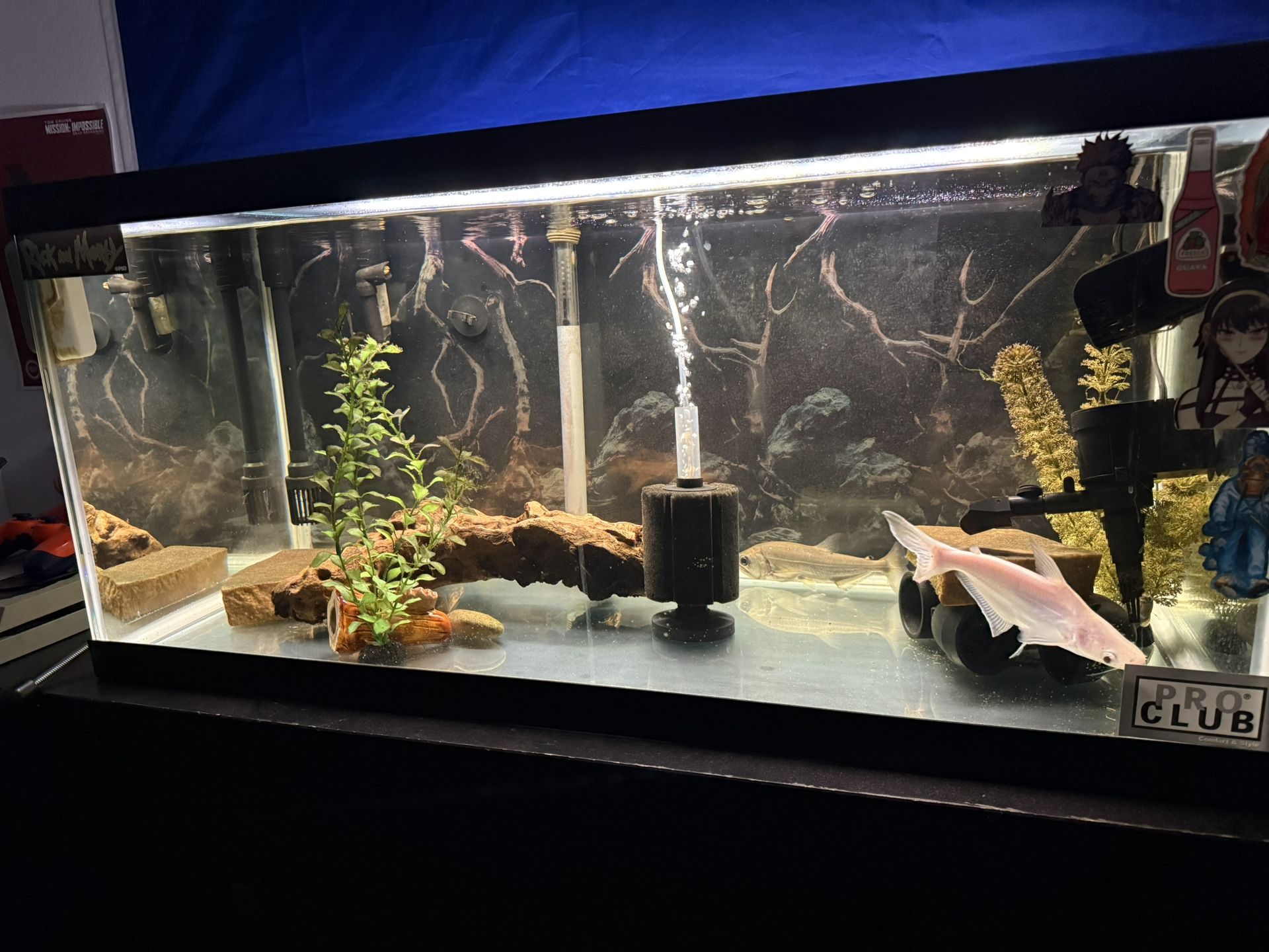 Fish Tank