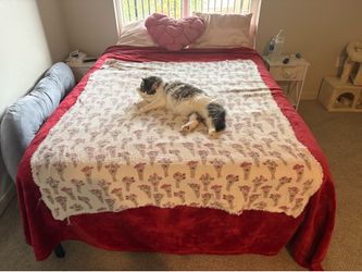Queen Bed