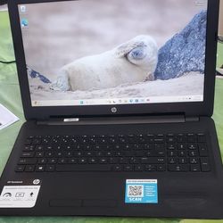 HP 15in Windows 11 Laptop 256gb SSD 