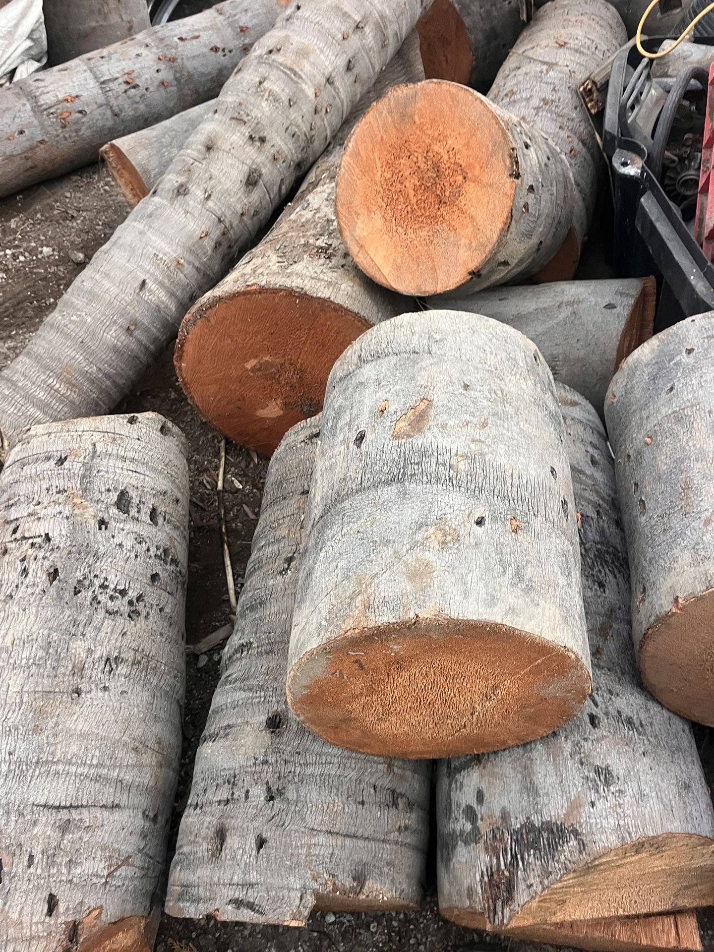 Free Palm tree trunks great for DIY projects great for carving TIKis