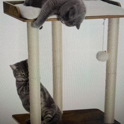 Cat Tree Tower Condo, Cat Scratch Posts