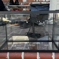 5 Gallon Fish Tank Aquarium