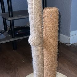 Cat Scratch Posts 