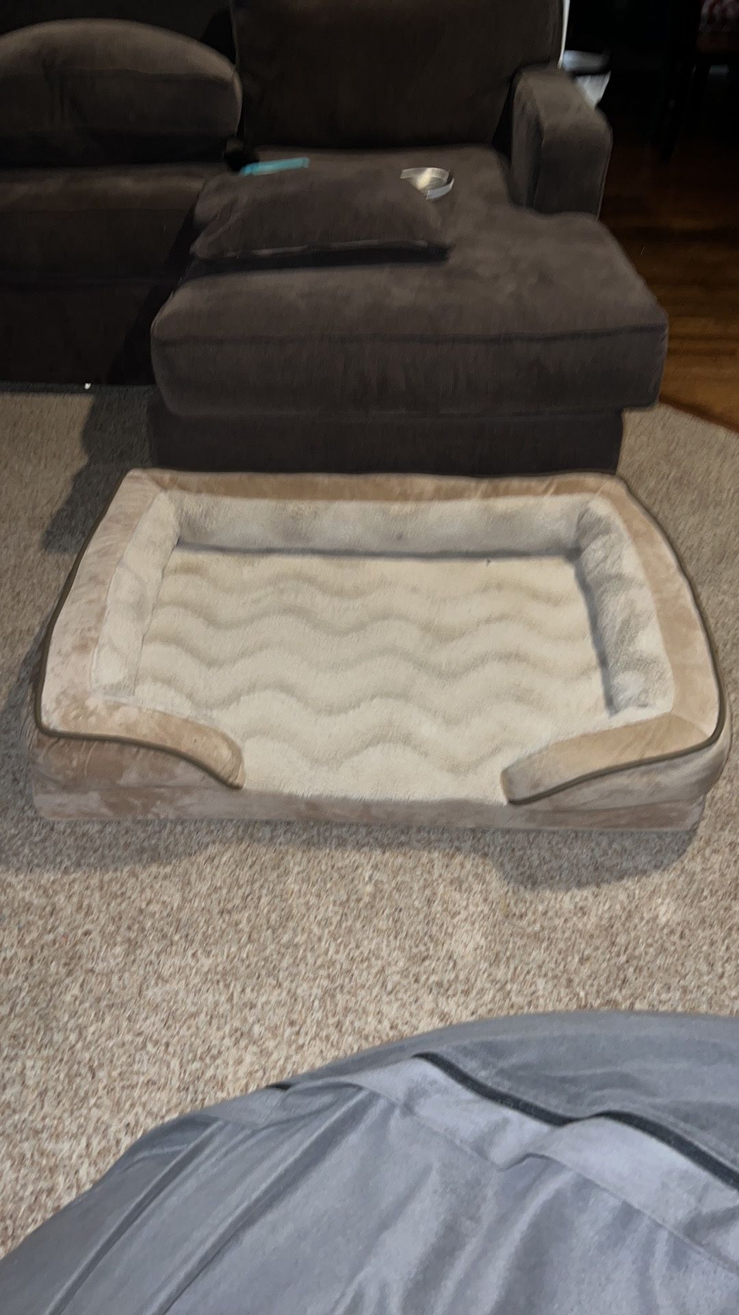 velvet waves pefect comfort sofa bed large brownstone