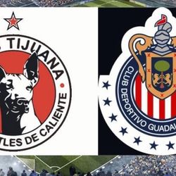 Xolos Vs Chivas 8/22/25 Zona 2 Media Cancha Fila 4