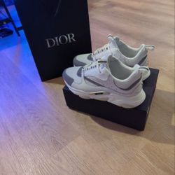 Dior B22s
