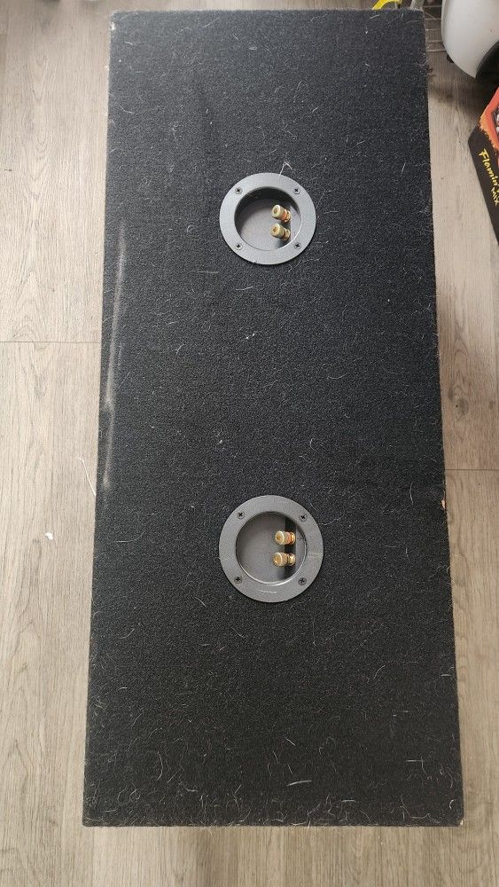 Two 12 Inch GS Redline subwoofers With Custom Box