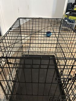 Dog Crate 24”