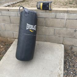 Everlast Boxing Bag And Gloves 
