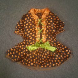 Halloween Pet Costume