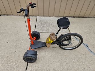 Wrff trike ebike