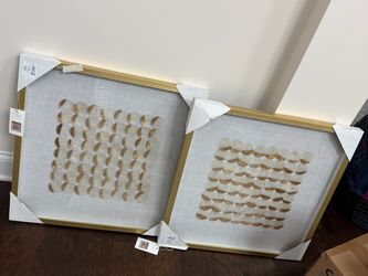 Ross Shell Shadow Box Collection Wall Art - Set of 2