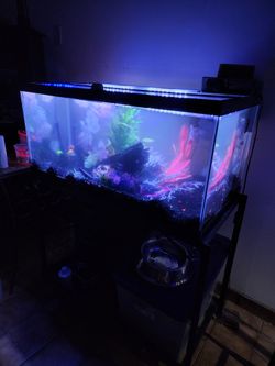 Like New 50 Gallon Aquarium Read ADD 1s5