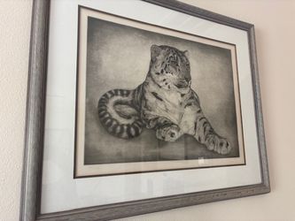 Etching-  Snow Leopard / D. Curry 77/100