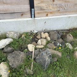 Free 1 Person Landscape Rocks