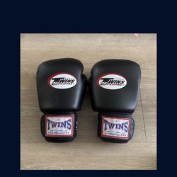 Twins Special Muay Thai/boxing Gloves