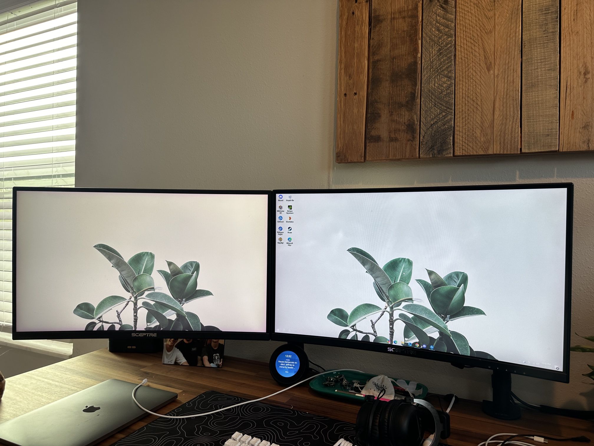 Gaming Monitors