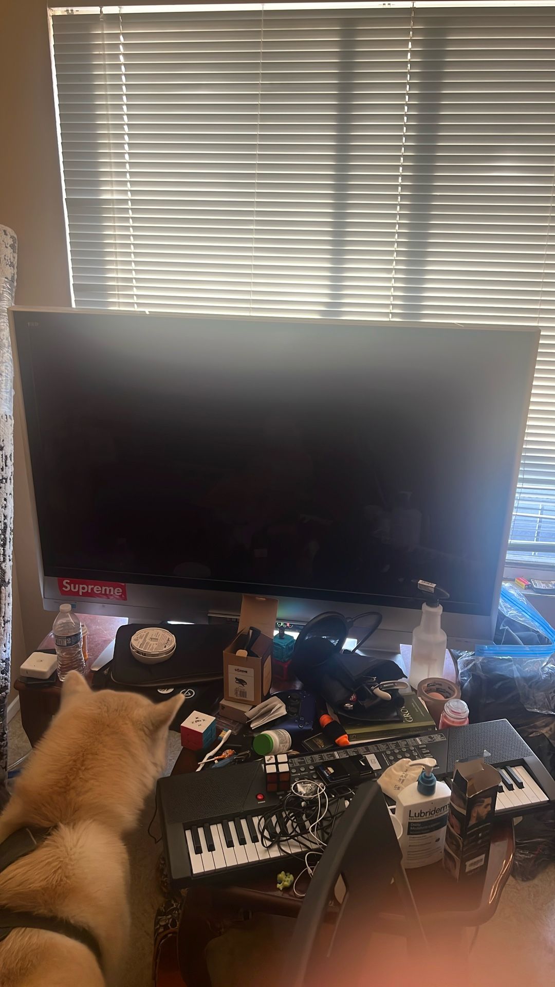 50 Inch Panasonic Plasma TV