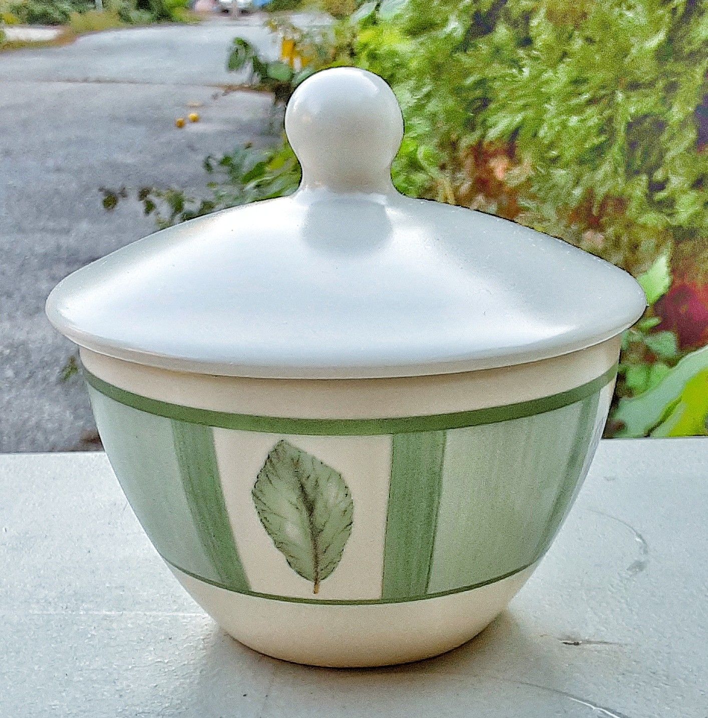 Pfaltzgraf NATUREWOOD sugar bowl and lid mint condition !