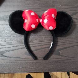 Minnie Mouse Ears from Disney World
