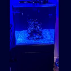 Waterbox Tank With Stand 