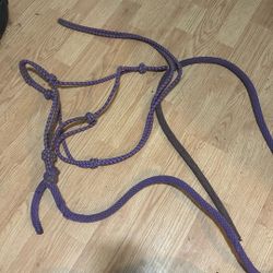 Purple rope halter