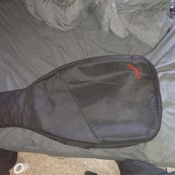 Fender Mexican Strat With Case 