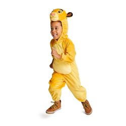 Simba Costume Lion King