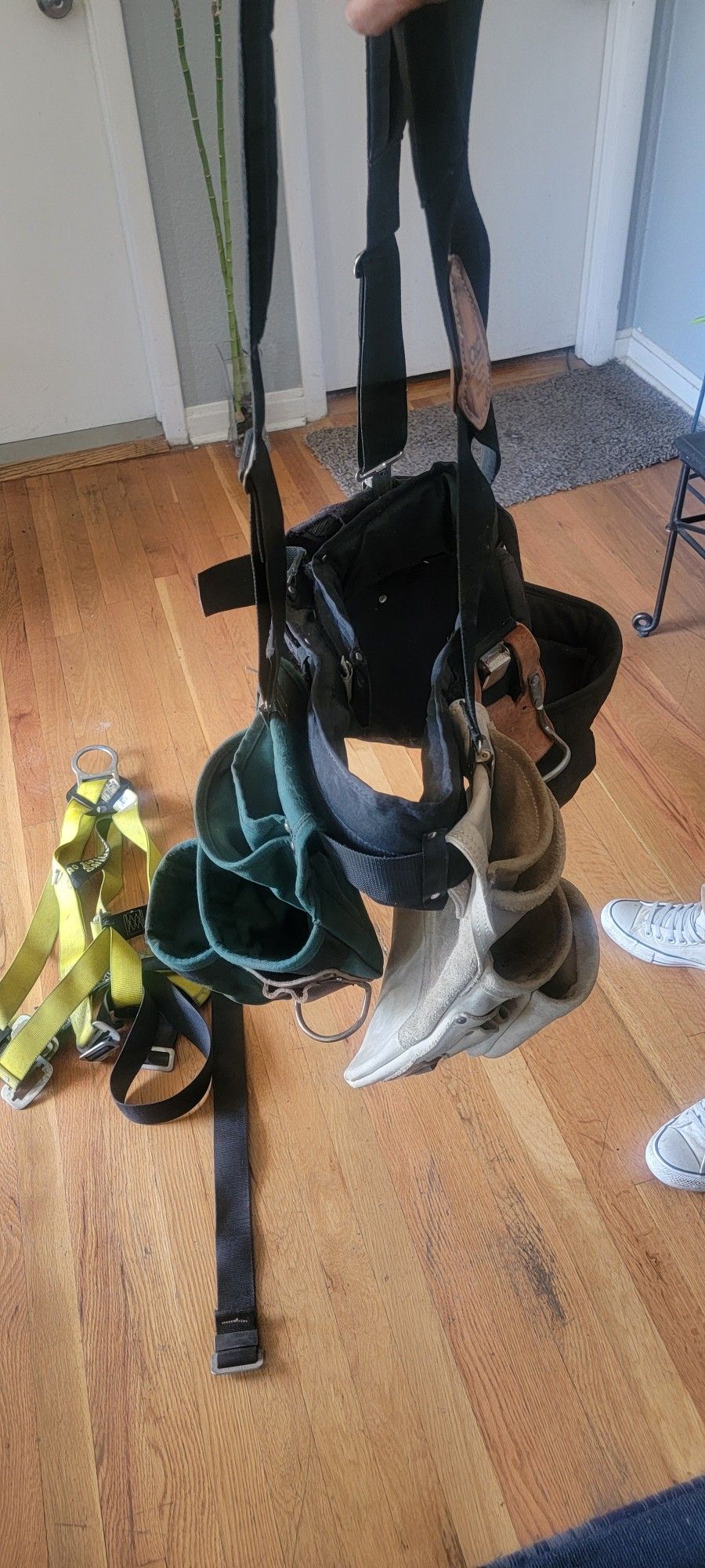 Harness